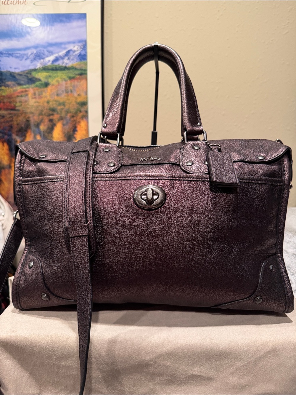 Coach Metallic Leather Rhyder 32 Satchel (Style F33739)